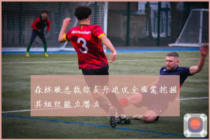 森林狼总裁称麦丹进攻全面需挖掘其组织能力潜力